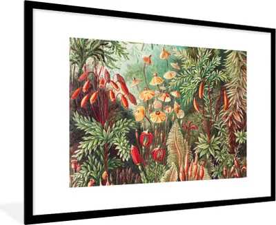 Produktbild von MuchoWow® Gerahmtes Poster Blumen - Kunst - Vintage - Natur - Botanisch 90x60 cm - Poster mit Schwarzem Bilderrahmen Wandposter Rahmen Foto Bilder - Wanddekoration - Fotos