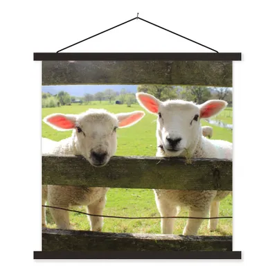 Produktbild von MuchoWow® Textilposter Schafe - Tiere - Bauernhof 90x90 cm mit schwarzem Rahmen - Magnetisches