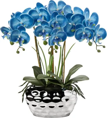Produktbild von Kunstorchidee 44CM Phalaenopsis Weiß Deko Kunstblume Bonsai Bouquet
