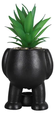 Produktbild von Omgoods – Sukkulenten-Blumentopf mit innovativem Design – Schwarz, Keramik