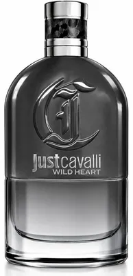 Produktbild von Roberto Cavalli Rc Just Cavalli Wild Heart For Him 90ml