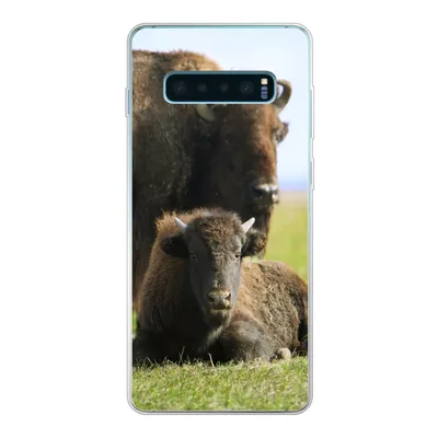 Produktbild von MuchoWow® Handyhülle Schutzhülle Hülle für Samsung Galaxy S10 Plus Büffel - Gras - Kalb Silikon Softcase Handy Hülle - Schutzhülle
