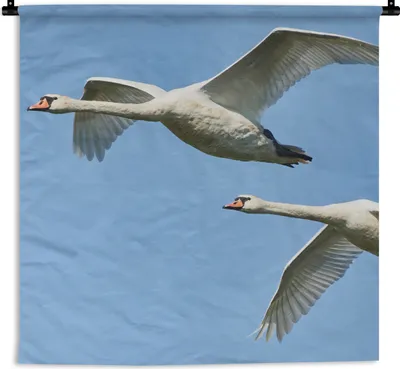 Produktbild von MuchoWow® Wandteppich Wandbehang Schwan - Vogel - Himmel - Blau 120x120 cm Tapisserie Dekoration Wandtuch - Modern - Baumwollgewebe