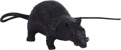 Produktbild von Schwarze Deko Ratte aus Latex für Halloween 15cm