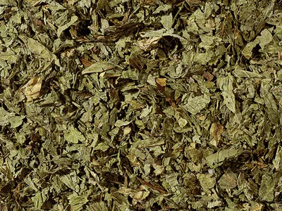 Produktbild von 1 kg Pfefferminze, geschnitten
