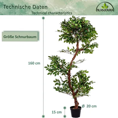 Obrázek produktu pro PLANTASIA Umělý strom jerlín, 160 cm