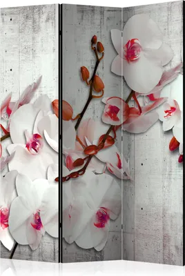 Produktbild von 3-teiliger Doppelseitiger Vlies Paravent - Concrete Orchid 135x172 cm Blumen b-A-0157-z-b