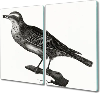 Produktbild von Coloray Hackbrett Küchenbrett Kochplattenabdeckung Schneidebrett Herdabdeckplatte 2x30x52 cm - Tiere Vögel