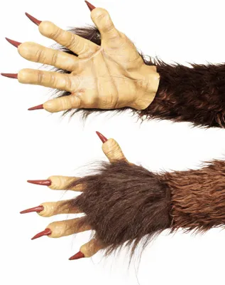 Produktbild von Krampus Klauenhandschuhe