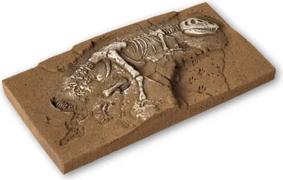Immagine prodotto di NOCH 58614 Scavo del dinosauro T-Rex
