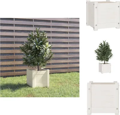 Obrázek produktu pro vidaXL květináč bílý 31x31x31 cm z masivního borovicového dřeva - Květináče a květináče