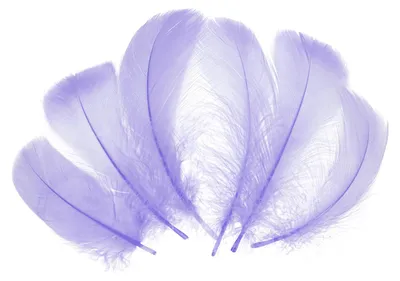 Productafbeelding van Decoratieveren - 300 stuks - Voor decoratie en knutselwerk - Lichtlila - 5-10 cm