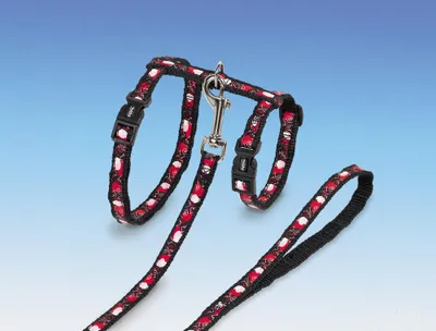 Immagine prodotto di Nobby Set per gatti XL "HEART"