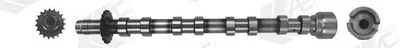 Produktbild von AE CAM1019 Nockenwelle Auslass für FORD FOCUS III Turnier Kuga Mk2 (DM2) MONDEO IV Turnier (BA7) S-MAX (WA6) FOCUS III