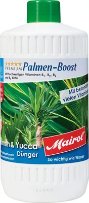 Produktbild von Mairol Palmen Boost 1L