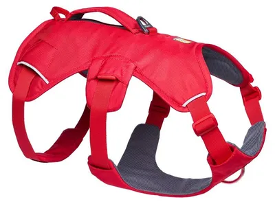 Produktbild von Ruffwear Web Master Geschirr Red Canyon S