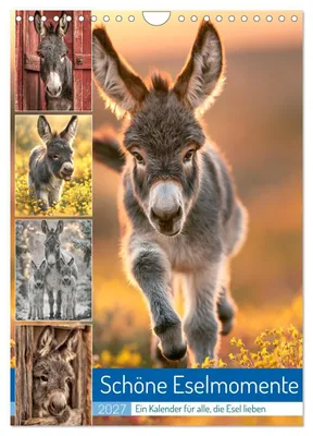 Produktbild von Schöne Eselmomente (Wandkalender 2027 DIN A4 hoch), CALVENDO Monatskalender
