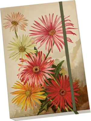 Immagine prodotto di Taccuino decorativo A5 STNOTE 139 Gerberas - Skona Ting