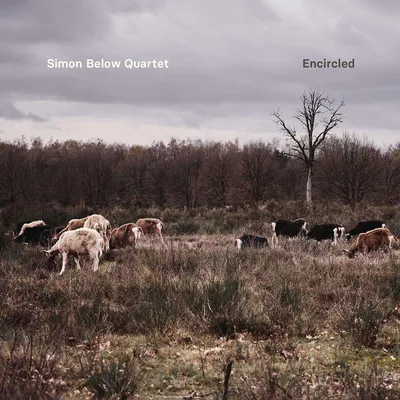 Obrázek produktu pro Simon Below: Encircled - - (CD / E)