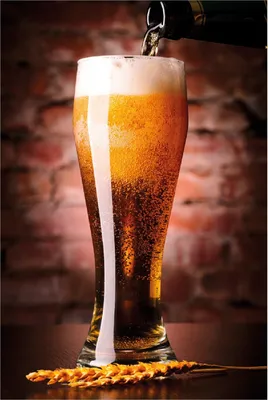 Produktbild von Wallario Poster - Frisches Pils, Kunstdruck Größe: 61 x 91,50 cm