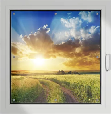 Produktbild von Wallario Lichtschutzbild, Dekorativer Sichtschutz Sonnenschutz 96 x 100 cm mit Motiv: Feldweg in den Sonnenuntergang - Verdunklung ohne Bohren