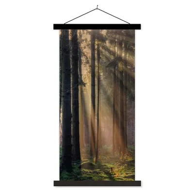 Produktbild von MuchoWow® Textilposter Bäume - Wald - Sonne - Pflanzen 60x120 cm mit schwarzem Rahmen - Magnete