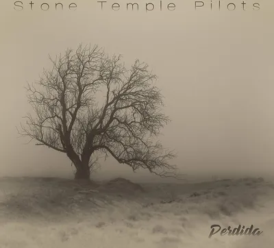 Zdjęcie produktu dla Stone Temple Pilots - Perdida (LP)