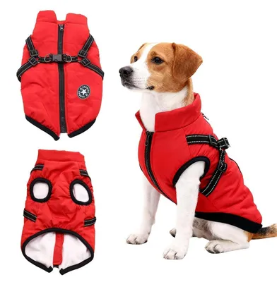 Image de Manteau d'hiver pour chien, rouge, avec harnais intégré, imperméable et réfléchissant