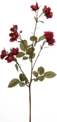 Productafbeelding van Gilde Rosenzweig "Nicca" van kunststof, donkerrood met 11 rozenbloemen. Hoogte 73 cm. Artikelnummer: 53579