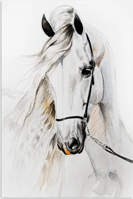 Produktbild von MuchoWow® Poster Pferd - Aquarell - Tiere - Weiß 20x30 cm - Papierdruck