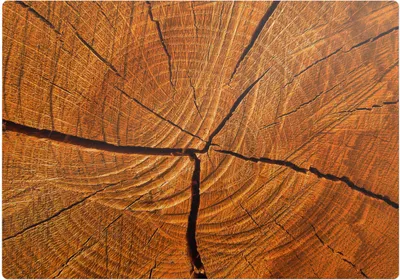Produktbild von Holzmaserungen – Bodenschutzmatte – Stuhlunterlage 100x100 cm – Rutschfest – Hartbodenmatte