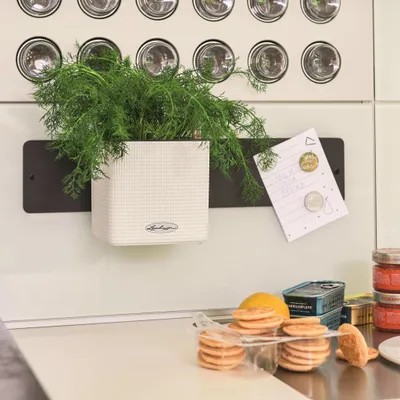Obrázek produktu pro LECHUZA Green Wall Home Kit, Květináč, Nástěnný, Polypropylen (PP), Bílá, Čtverec, Vnitřní