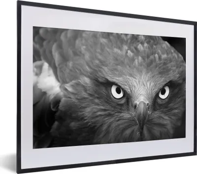 Produktbild von MuchoWow® MuchoWow® Gerahmtes Poster Adler - Schwarz - Weiß 40x30 cm - Poster mit zchwarzem Bilderrahmen - Bilderrahmen - Poster im Rahmen