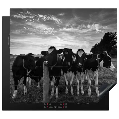 Obrázek produktu pro KitchenYeah® Krycí deska na sporák krávy - farma - zvířata - černá - bílá, 58x51cm, dekorace do kuchyně, keramická krycí deska, krycí deska na varnou desku