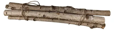 Productafbeelding van Berkentak gedroogd 60 cm voor natuurlijke terrariumdecoratie 100% natuurlijk