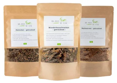 Essbare Insekten 3er-Pack – geröstete Heuschrecken, Grillen, Mehlwürmer