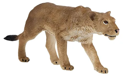 Image de Lionne africaine Mojo Wildlife - 381071