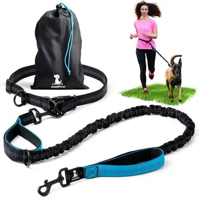 Produktbild von Famanu Hundeleine Handsfree für mittelgroße und große Hunde - reflektierende Streifen - blau