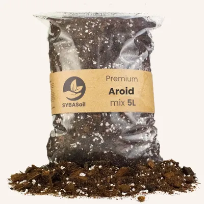 Produktbild von SYBASoil Premium Aroid Mix 5 L