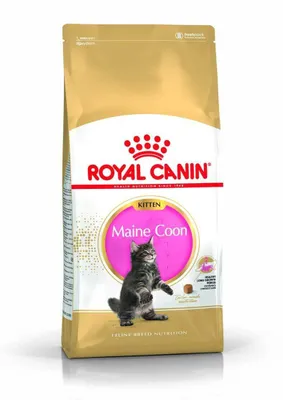 Zdjęcie produktu dla Royal Canin Maine Coon Kitten, Kocięta, Maine Coon, Drób, 2 kg, Zawiera przeciwutleniacze