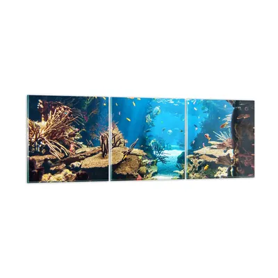 Produktbild von Bilder auf glas - Ozean Riff Fische Koralle - 120x40cm - Glasbilder - Wandbilder - Kunstdruck - zum Aufhängen bereit - Wanddekoration aus Glas - Glas Bilder - Wandbild auf Glas - GCA120x40-2872