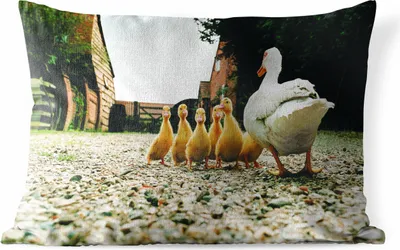 Produktbild von MuchoWow® Outdoor Kissen - Ente mit Jungen - 60x40 cm - Wetterfest - Lounge Kissen - Zierkissen - Kissen für Innenräume