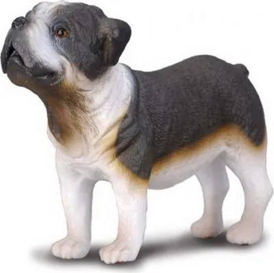 Image de COLLECTA Buldog