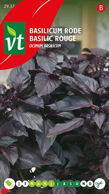 Obrázek produktu pro Červená semínka bazalky - cca 0,5 gr | VT_2937