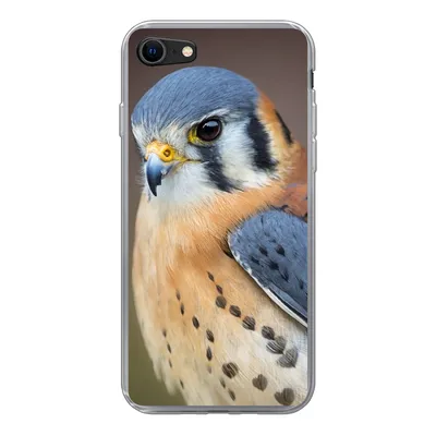 Produktbild von MuchoWow® Handyhülle Schutzhülle Hülle für iPhone SE 2020 Vogel - Makro - Blau Silikon Softcase Handy Hülle - Kartenbesitzer