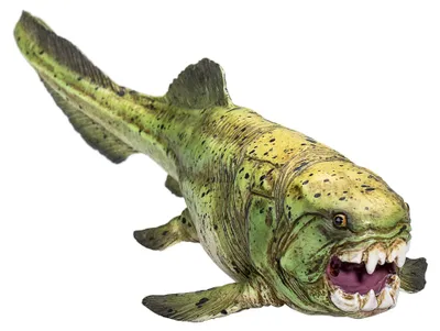 Produktbild von Mojo 387374 Animal Planet Dunkleosteus ca. 19 x 7 x 4 cm