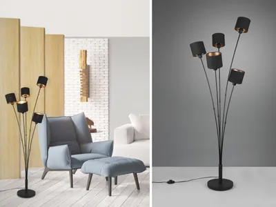 A split image showing a floor lamp in a living room setting and a separate product shot of the same lamp.