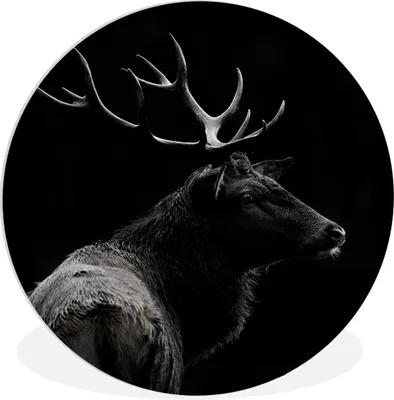Produktbild von MuchoWow® Rundes Wandbild - Runde Bilder Hirsch - Schwarz - Weiß - Geweih Ø 30 cm Kreis Wanddekoration Kunststoff - Wandkreis - Wandschmuck - Schlafzimmer - Bilder - Der Kreis - Kunst für die Wohnung - Plastik - Kunstdruck - Wandbild