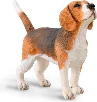 Obrázok produktu pre Collecta 88935 Beagle 7 cm psy a mačky