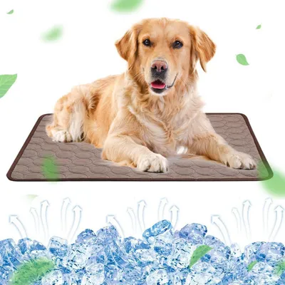 Immagine prodotto di Tappetino refrigerante per cani di grandi dimensioni, autorigenerante, 100x70 cm, colore caffè, lavabile, taglia XL